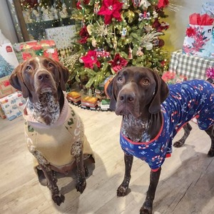 Fundraising Page: MICHELENE MAGLIO